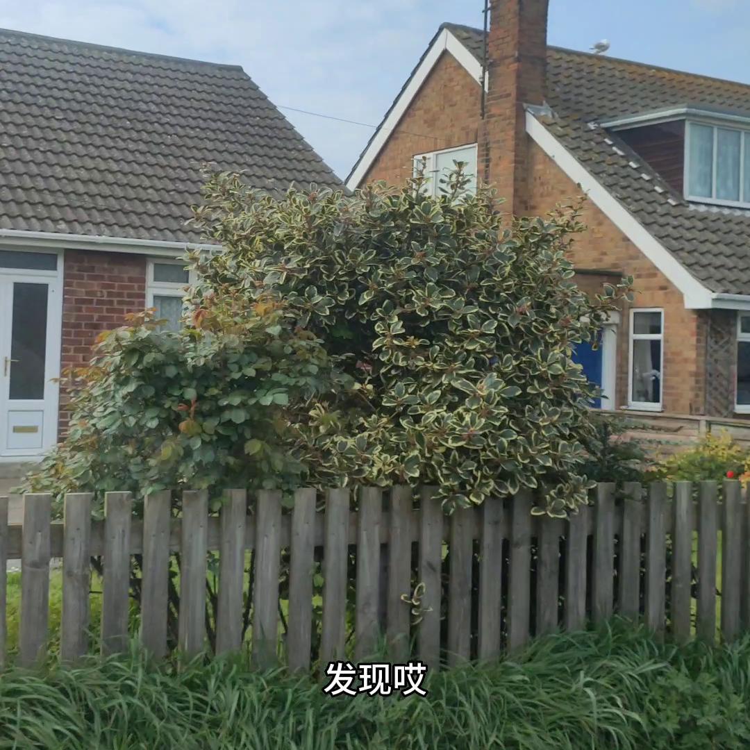 如何做外链最有效,知乎上发外链技巧