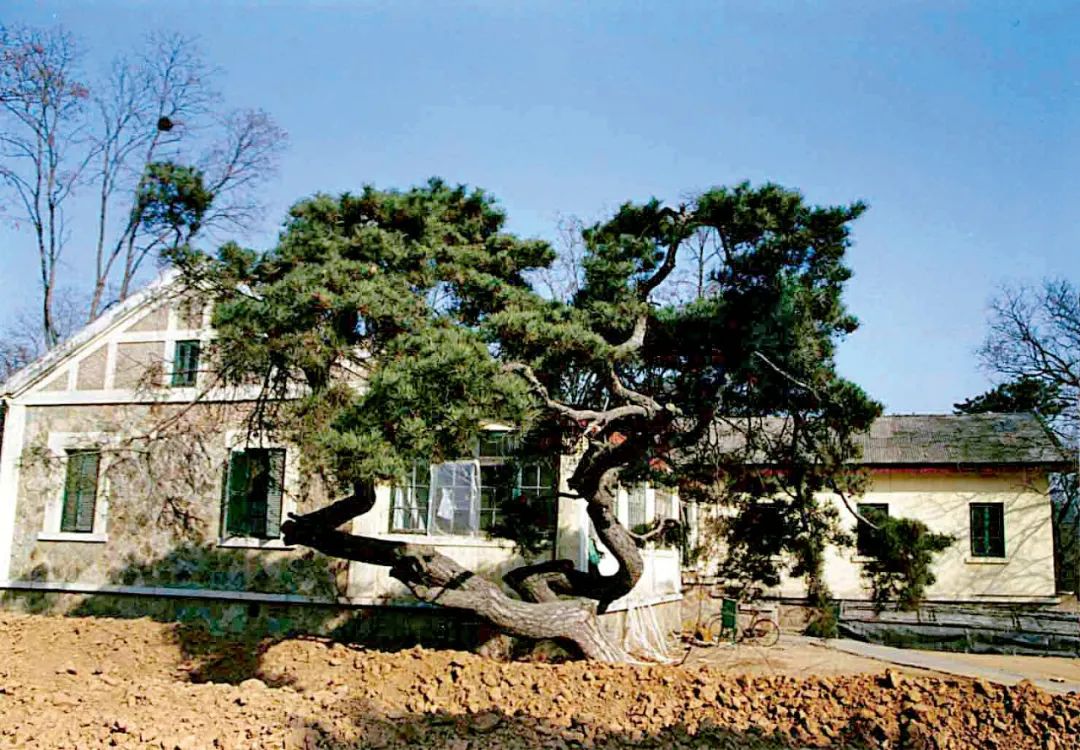 北戴河为什么会成为避暑胜地之一,北戴河为什么能成为避暑胜地