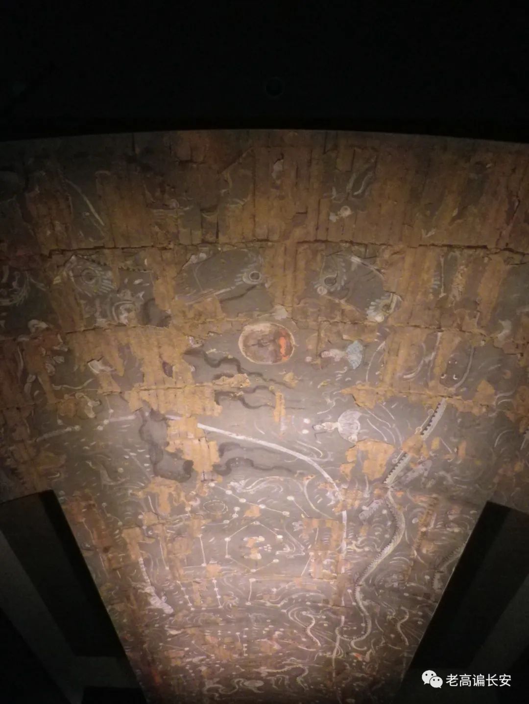 假期参观陕西考古博物馆,陕西考古博物馆开馆直播