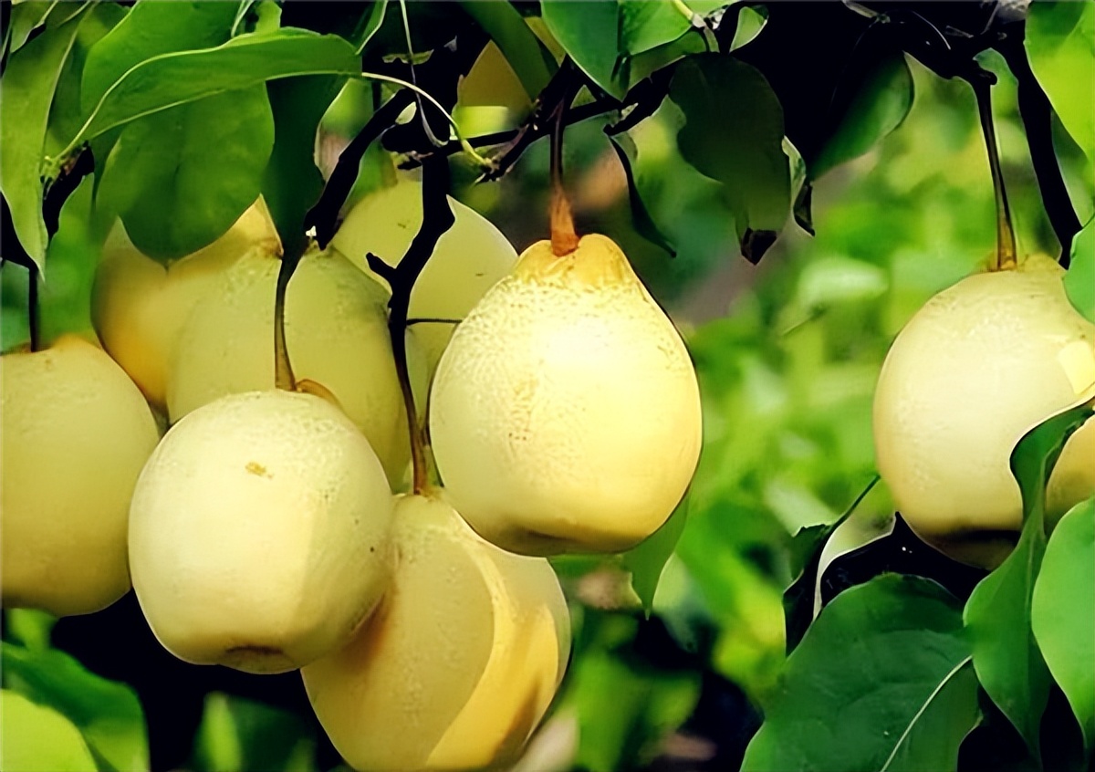 七种东西送了人财两空,为何说东西有七不送送了人财两空