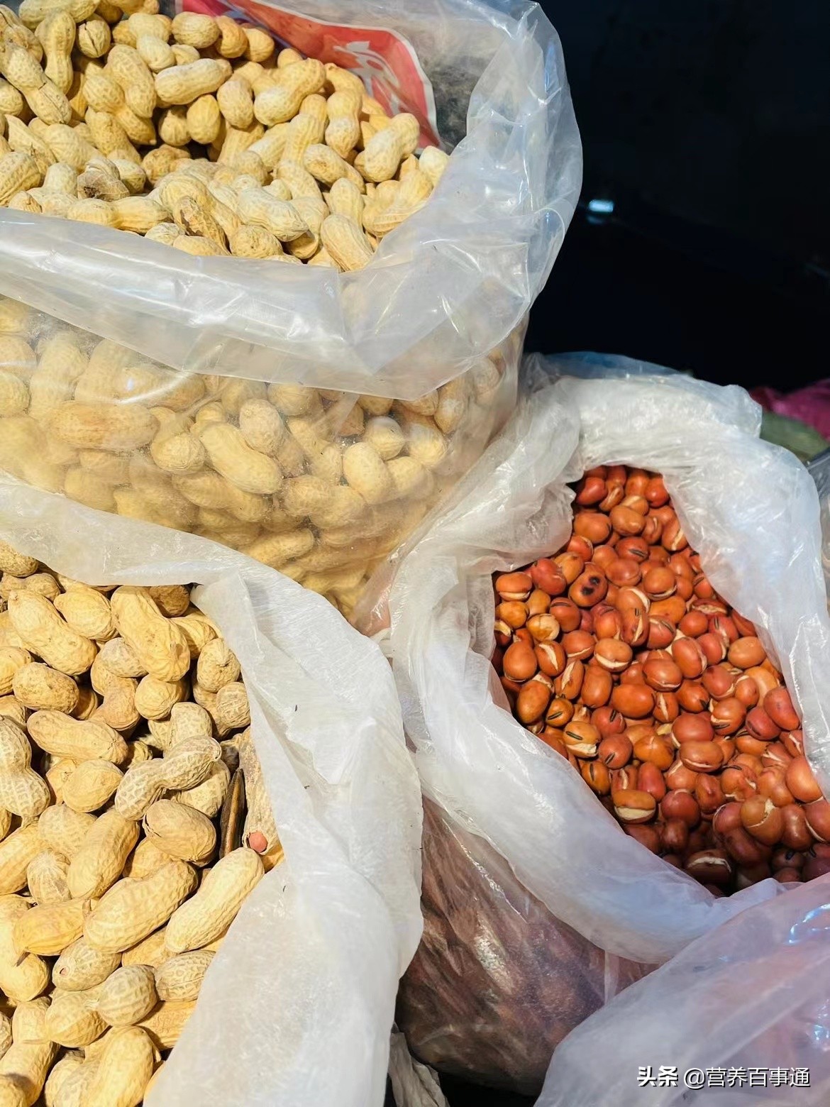 春节坚果不能少食用禁忌要知道,过年吃坚果有什么讲究