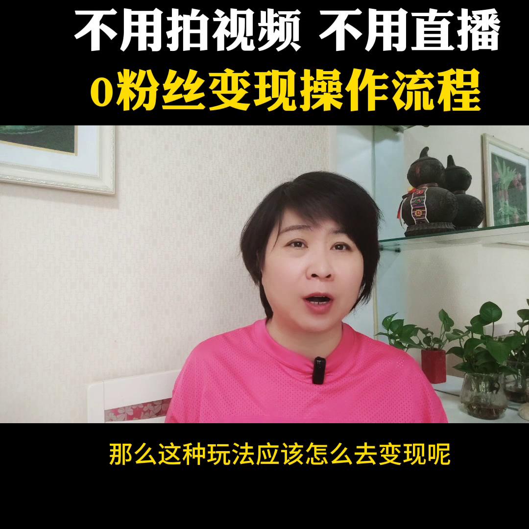 小程序推广计划，不用拍视频不用开直播，0粉丝变现流程#教程