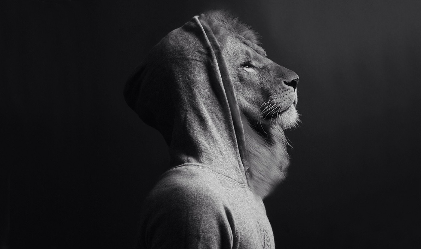 百度进军日本市场,百度又有什么新动作