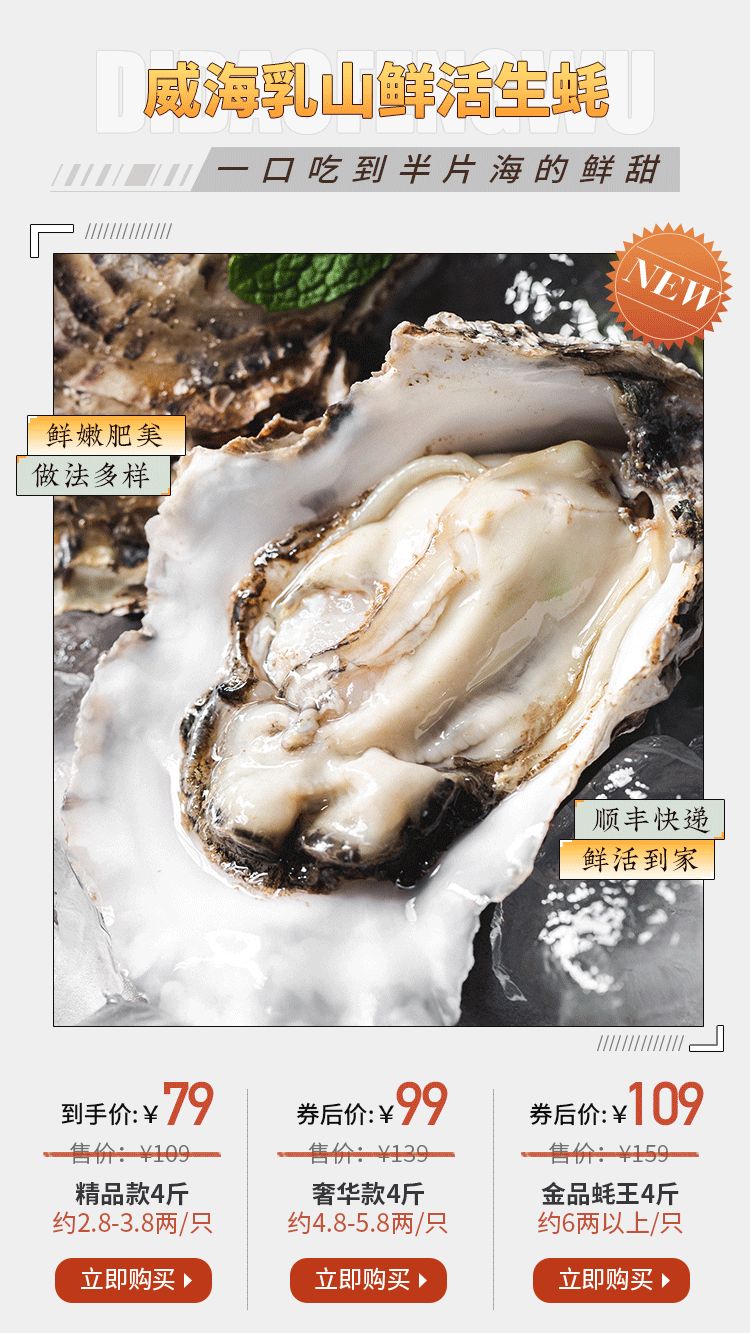 这座不起眼的山东小城，搞生蚝能有多猛？