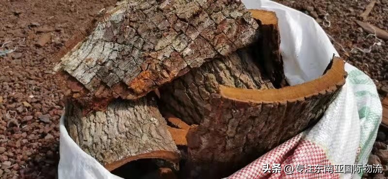 卡宾达树皮进口清关,安哥拉海运进口清关流程