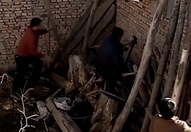 08年新疆牧民捡两只猫崽,中国男子捡到一只奶猫