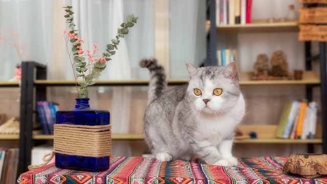 适合宝妈一个人创业的暴利小生意,低成本适合宝妈创业的项目有哪些