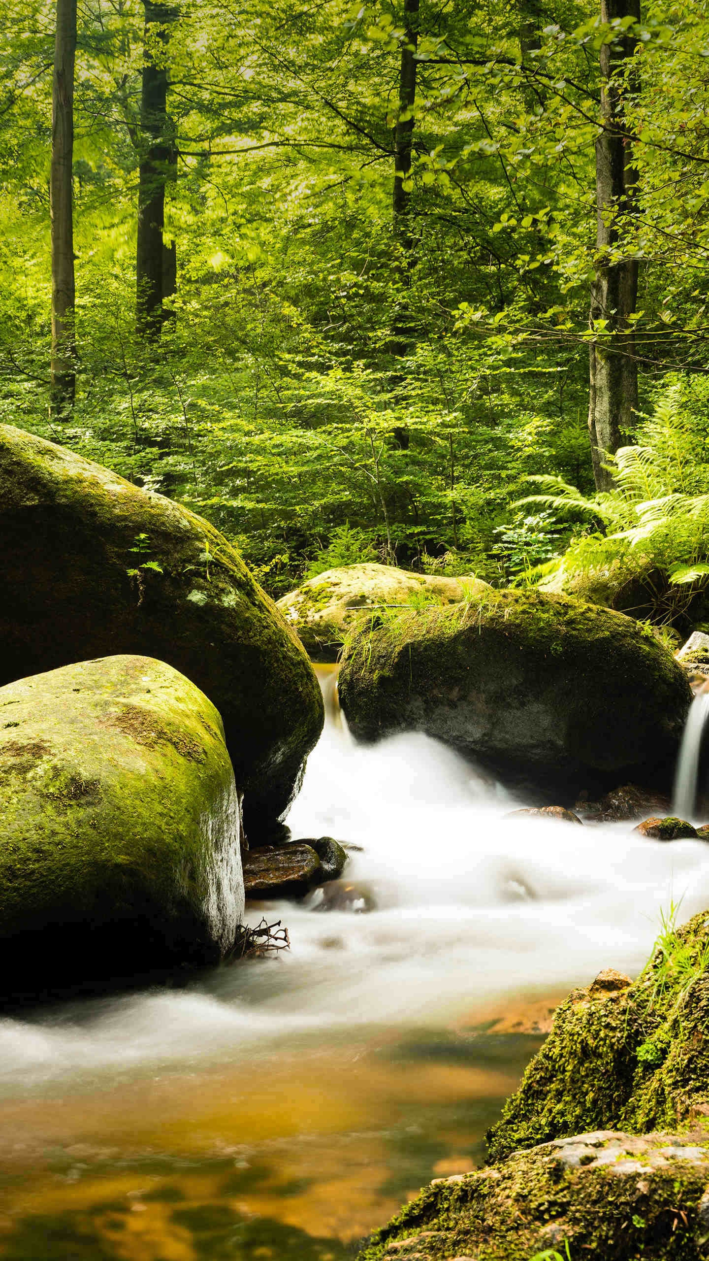 中国最美风景壁纸草原风景竖屏,山水风景1080*1920高清竖屏壁纸