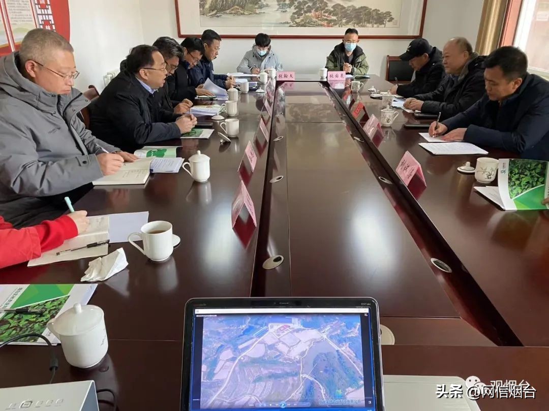 烟台苹果苗哪个最好栽,烟台地区苹果树苗新品种