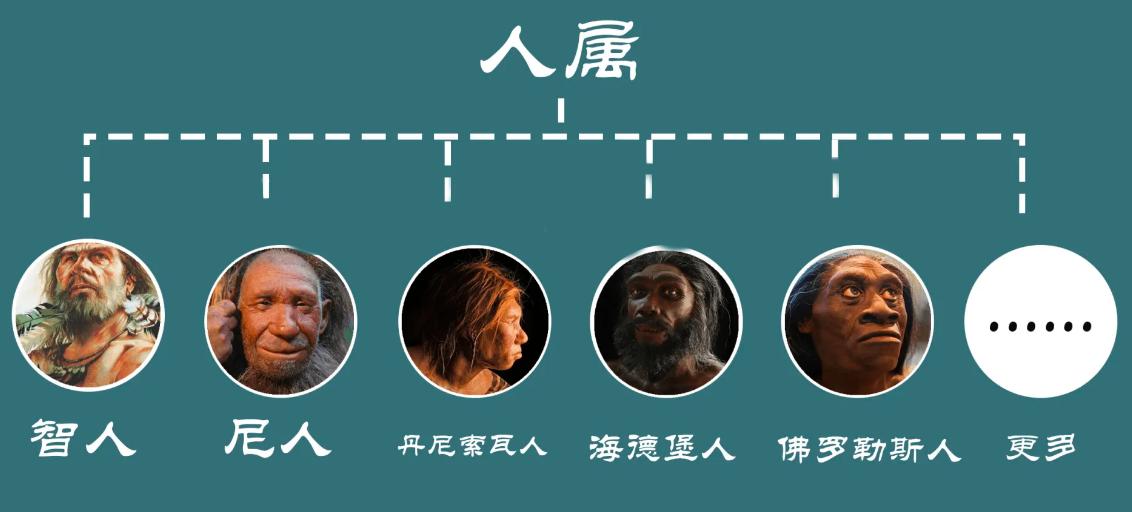 为什么黄种人能和白人繁衍,原始人种之间有生殖隔离吗