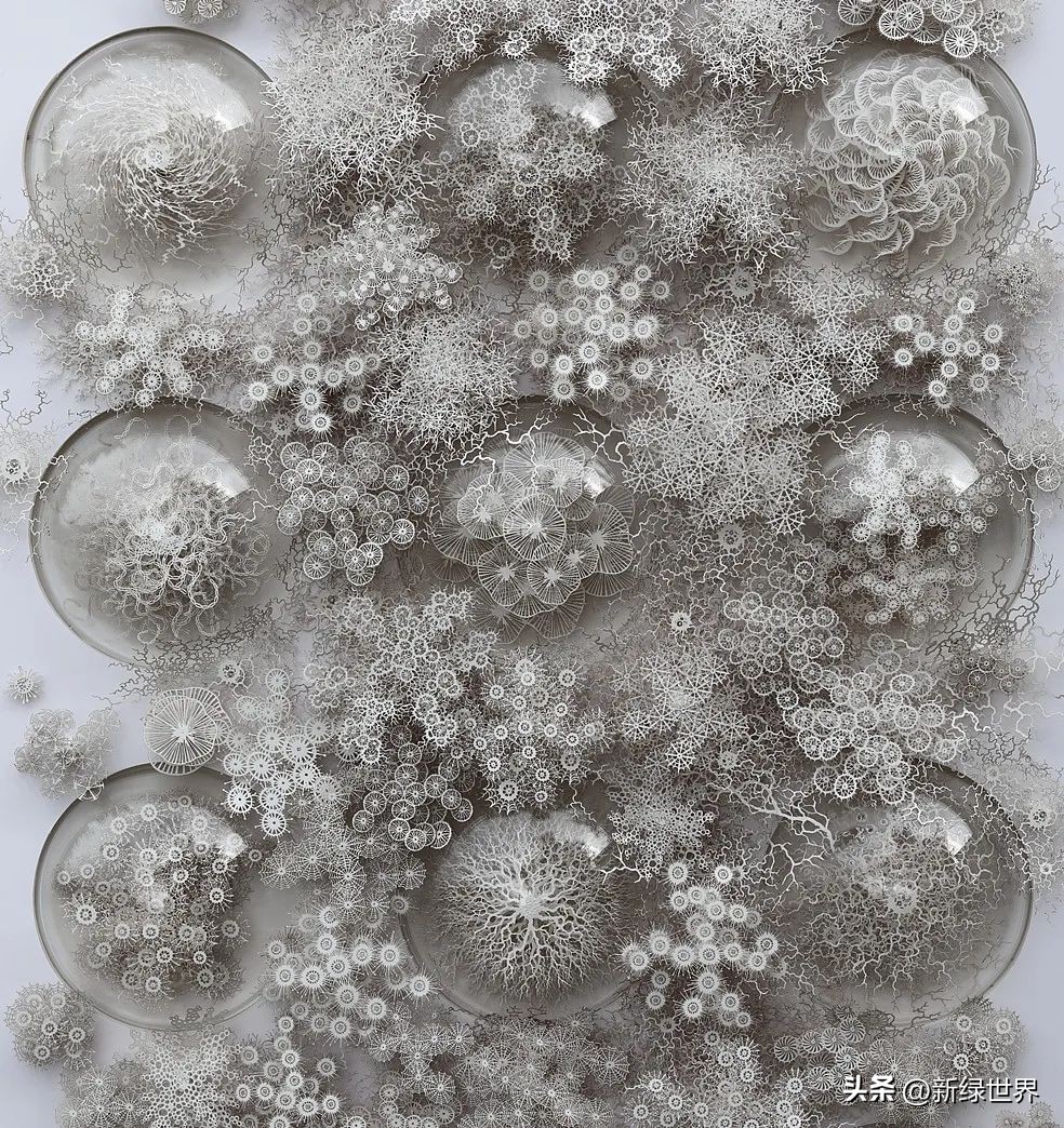 纸艺作品绘画,千变万化的纸艺术作品