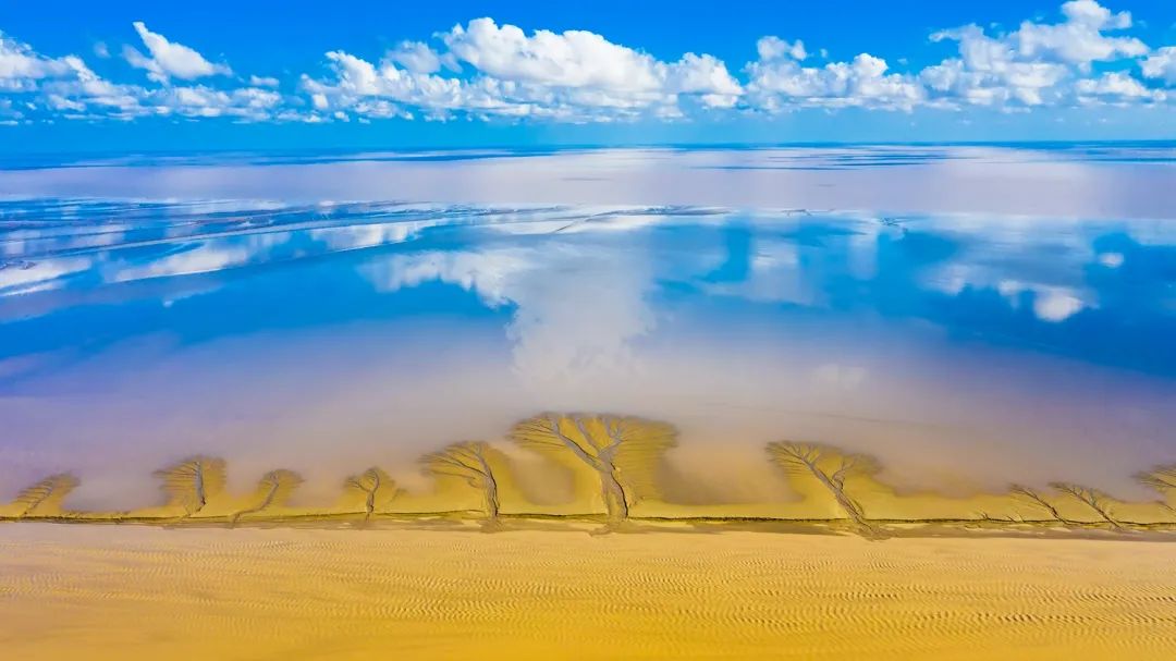 如果你要写东台，就不能只写东台~