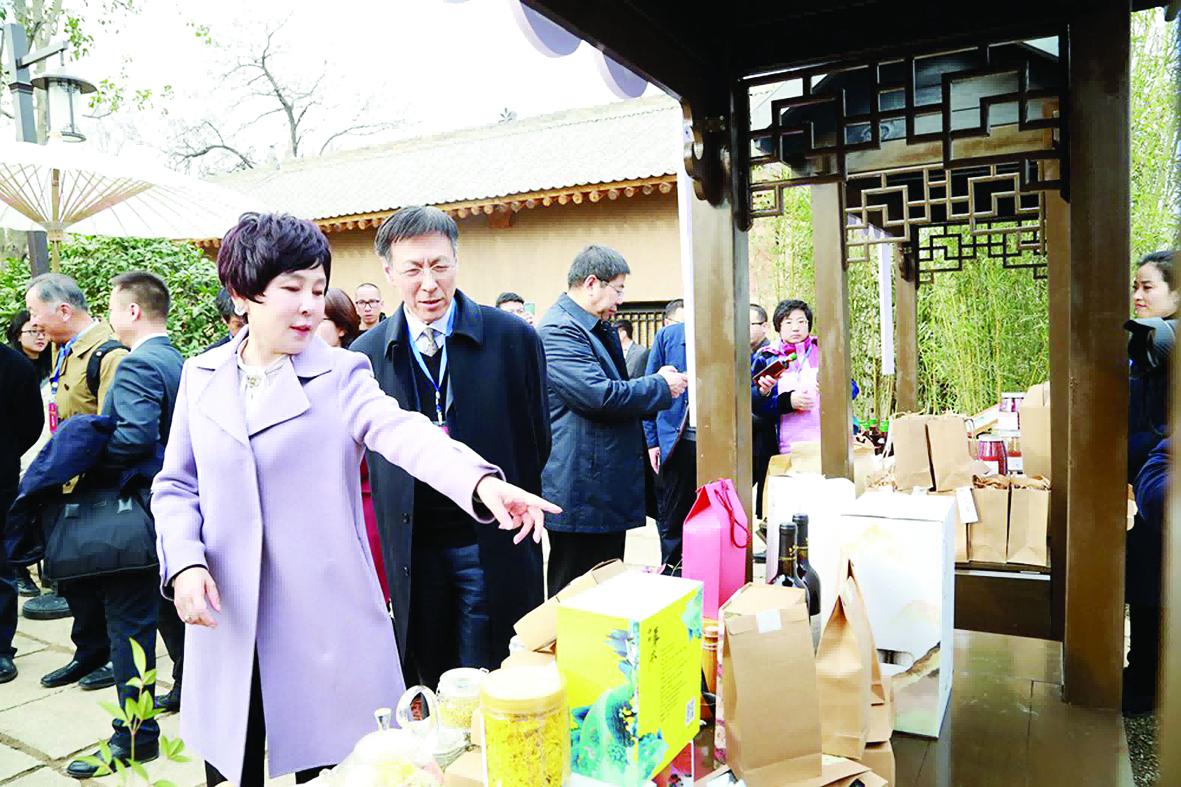 天朗集团董事长孙茵是哪里人,天朗地产孙茵哪年的