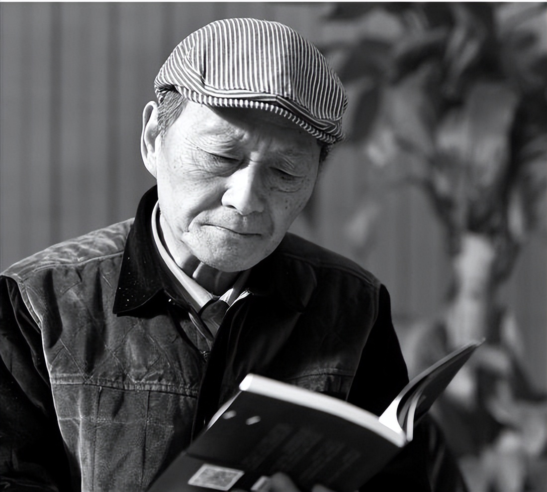 童自荣李连杰见面了吗,童自荣给李连杰配音完整视频