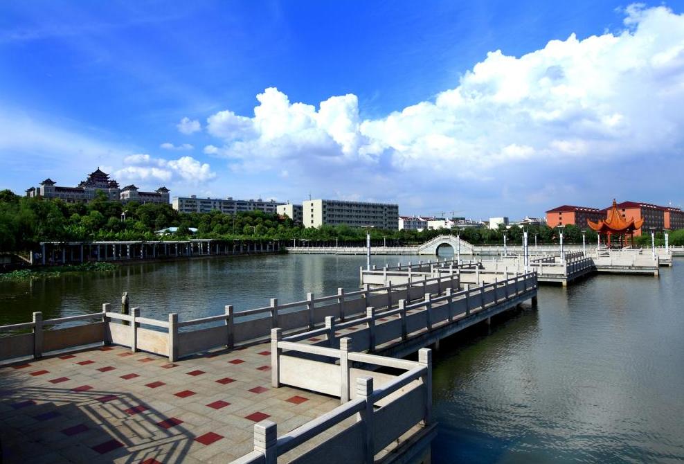 比较容易就业的专业排名,容易就业的大专专业