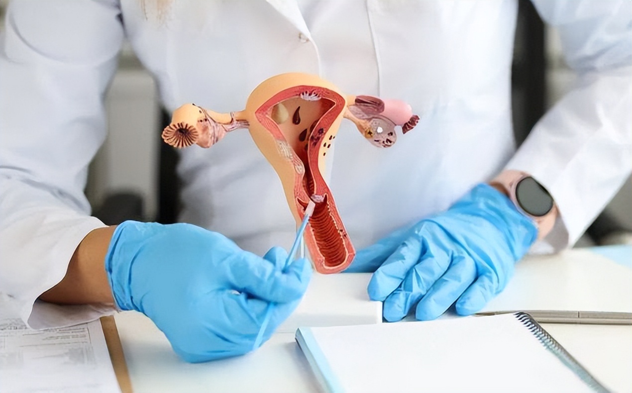 女性最佳绝经年龄范围,女性最佳“绝经年龄”已公布