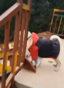 大哥怕是不行了,背是上午踩的,人是下午走的,席是中午吃的