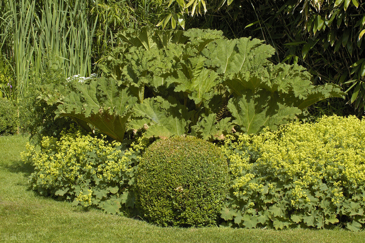 考园林绿化工证需要哪些条件,考园林绿化工证要多少钱