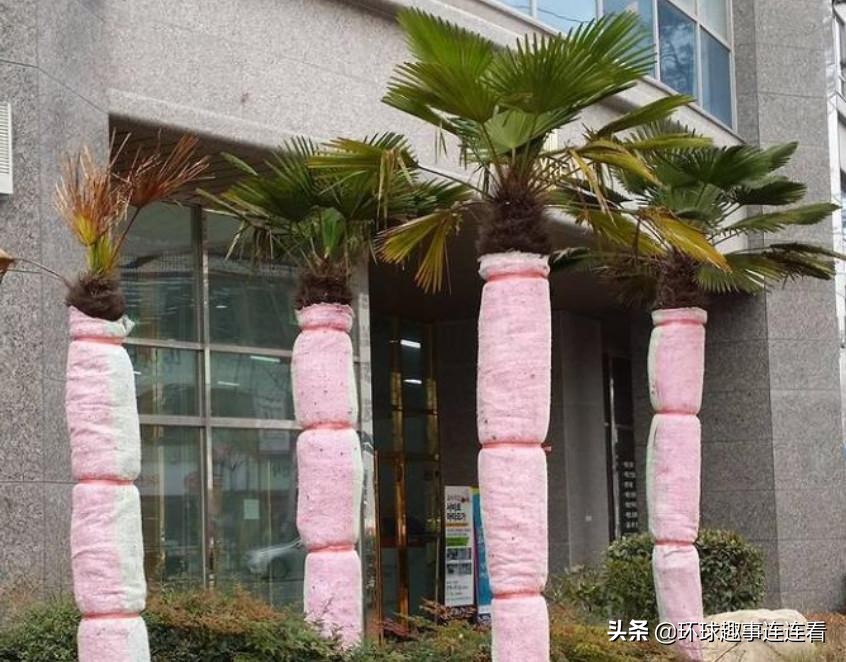 10张让人颠覆的图片,5张让人震撼的图片