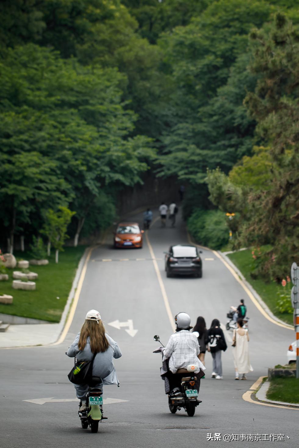 南京艺术学院520,南京艺术学院爱上你