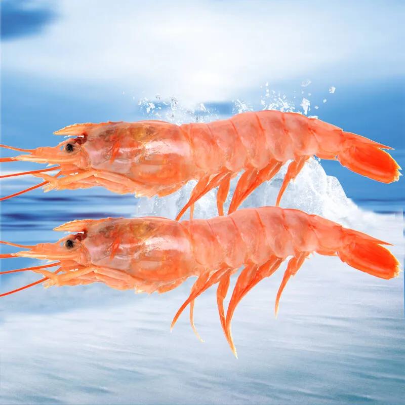 菜市场刚死的虾能不能买,菜市场买的虾是海虾还是河虾