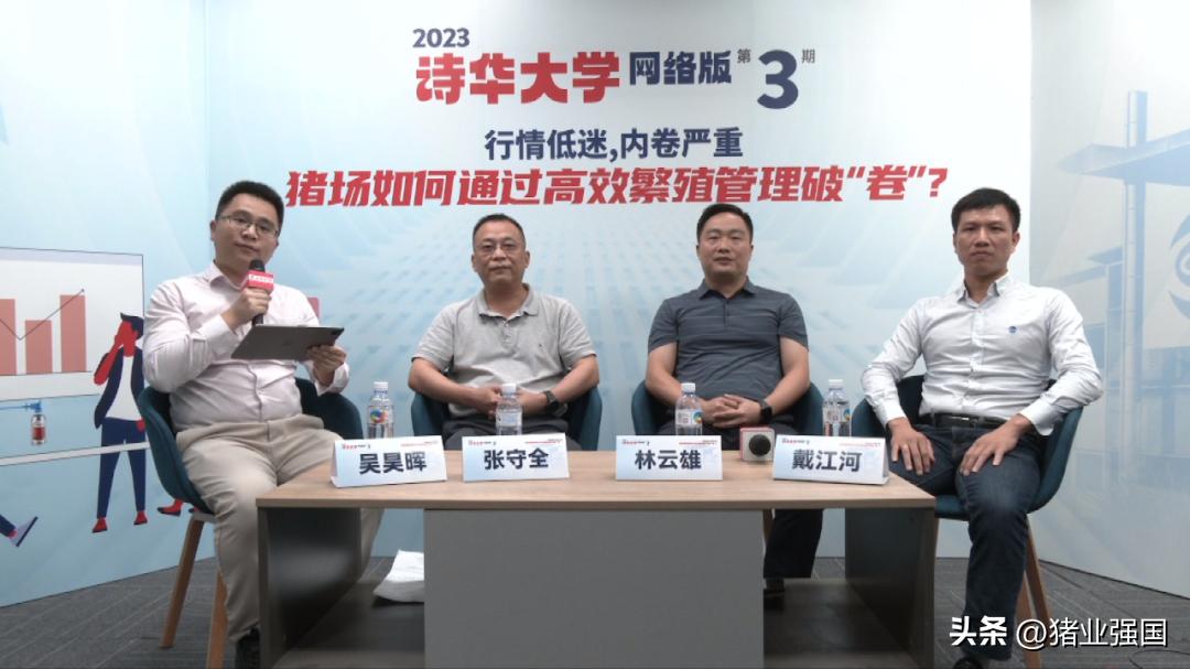 养猪技术及策略,猪场如何应对行情低迷