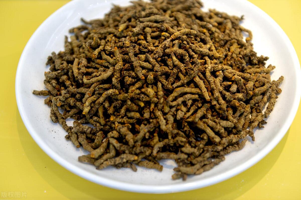 老是发炎上火怎么办,上火喉咙发炎用什么中药