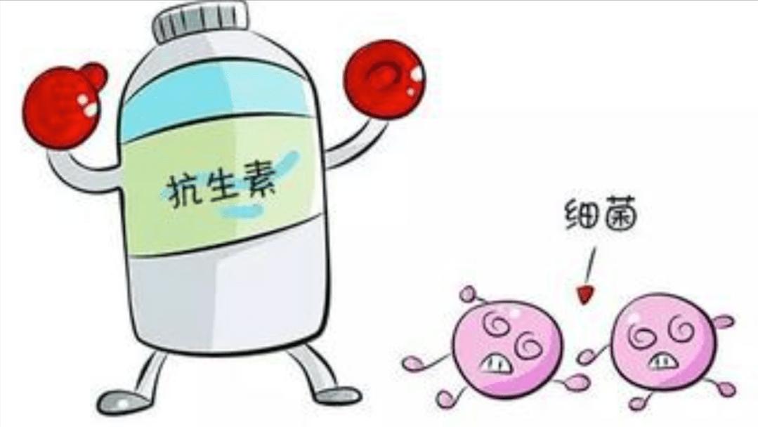 头孢和阿莫西林都是抗生素吗,头孢阿莫西林阿奇霉素有什么区别