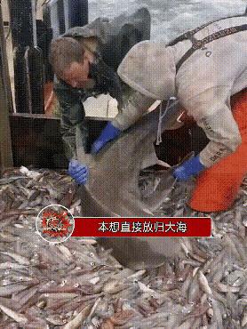 搞笑gif开心一刻这大概就是爱情吧,搞笑gif为了胜利我将不择手段