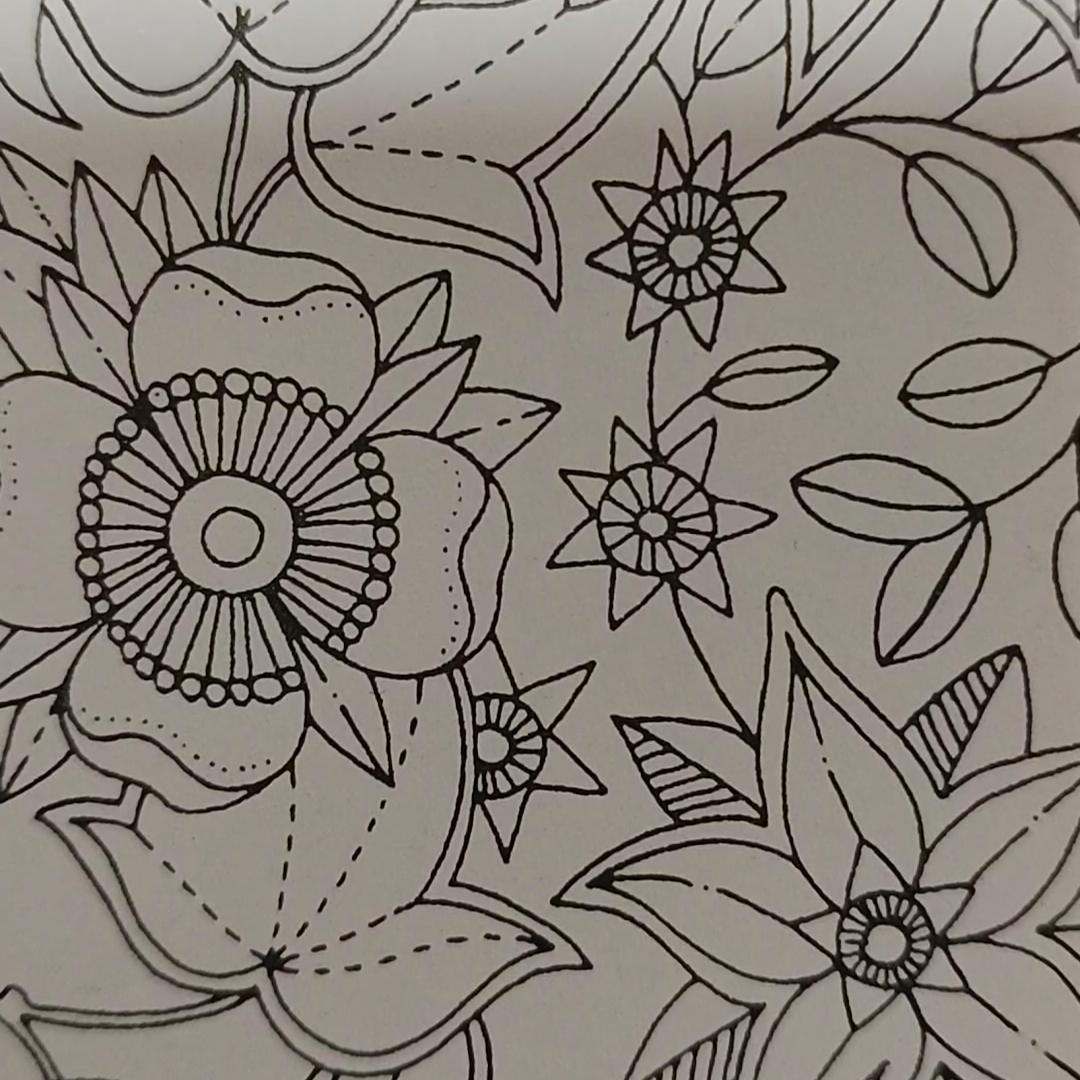 快嘴二婶#正能量分享