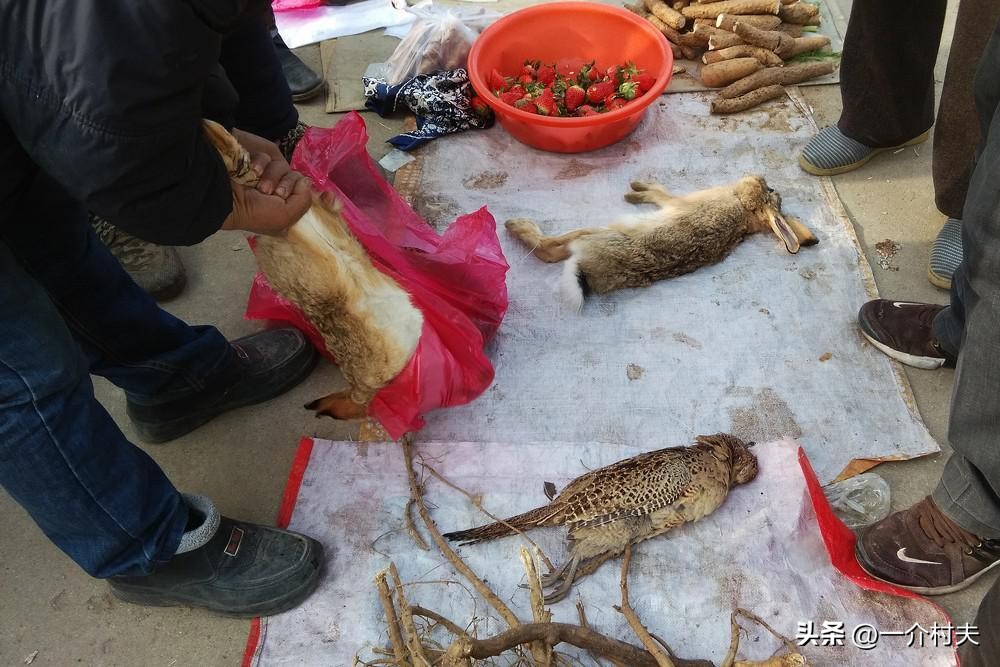 农村春节做什么小生意最赚钱,春节做点什么小生意赚钱了