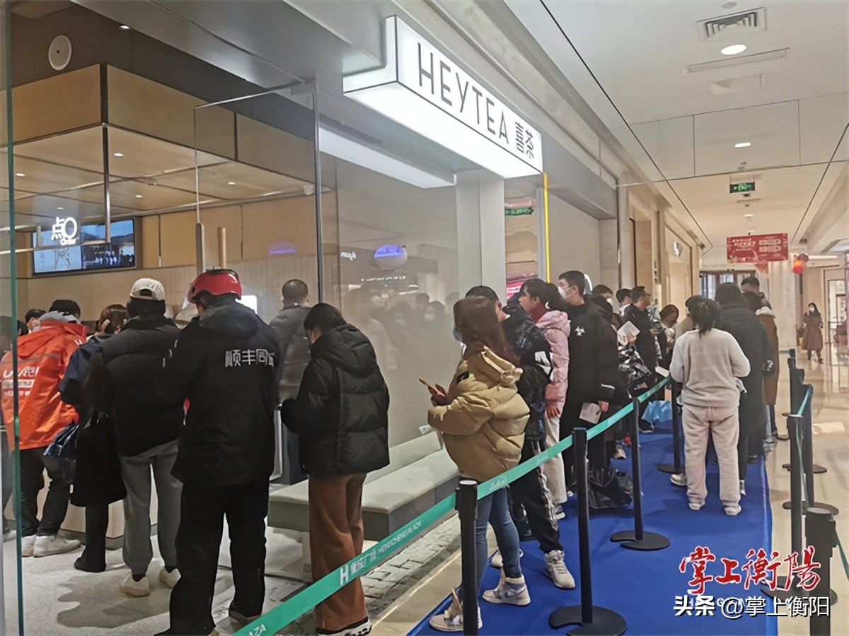 兔飞猛进向未来,兔飞猛进万事兴