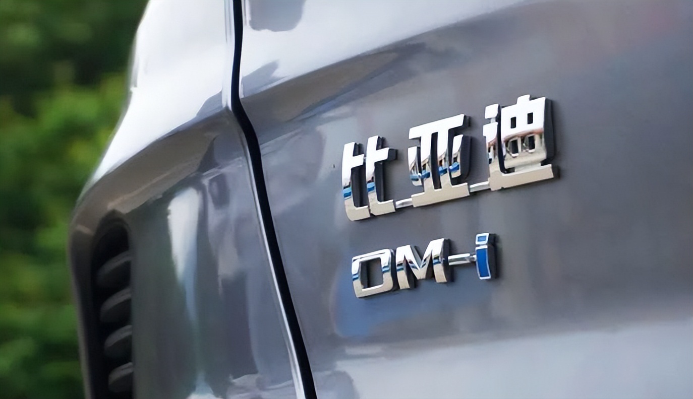 大众在中国现状,大众为什么只在中国卖得好