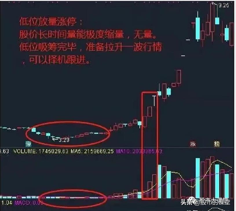 炒股量价分析,从职场小白到专业的蜕变感悟