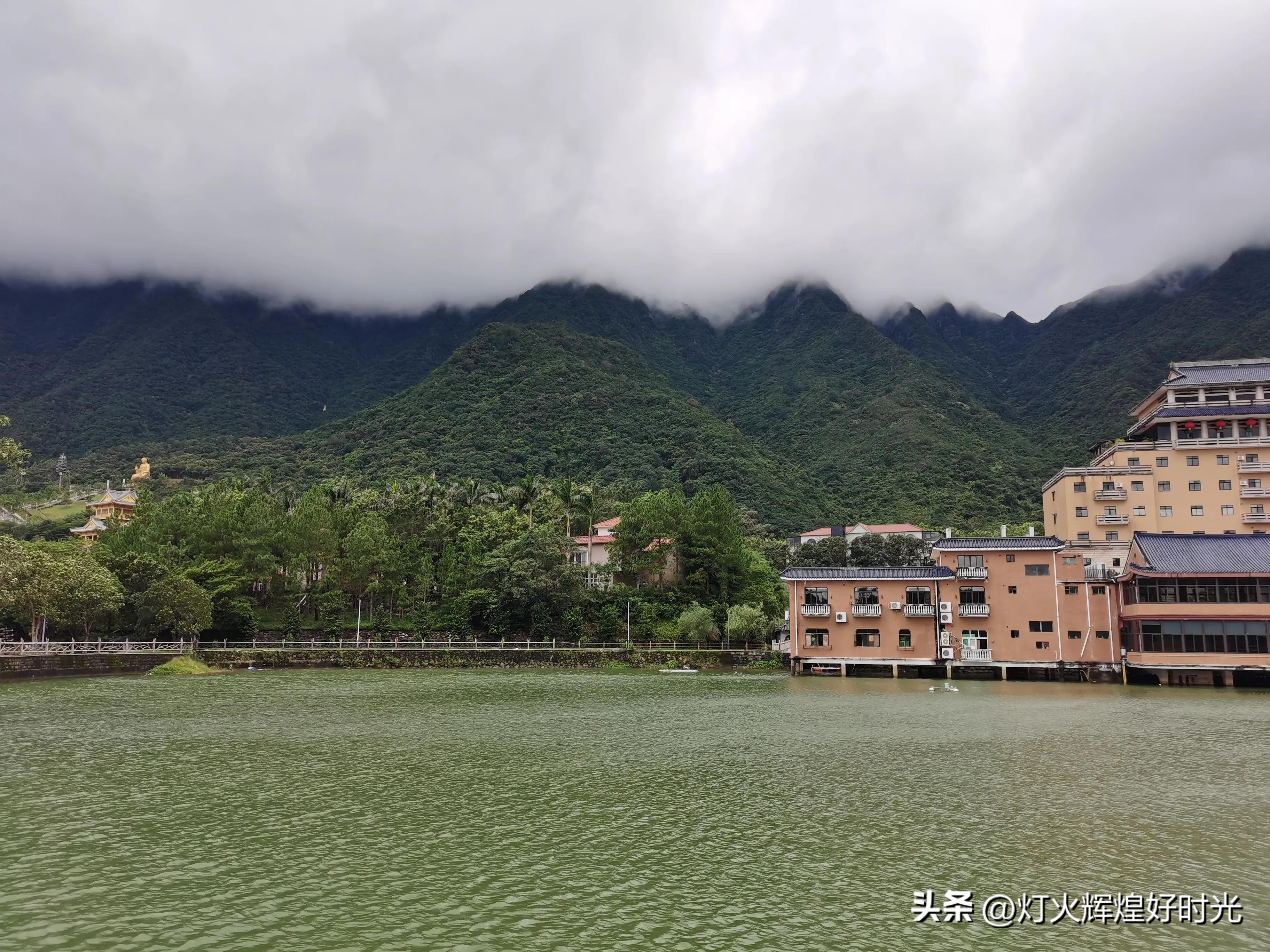 夏日掠影,雨天花开,人见人爱