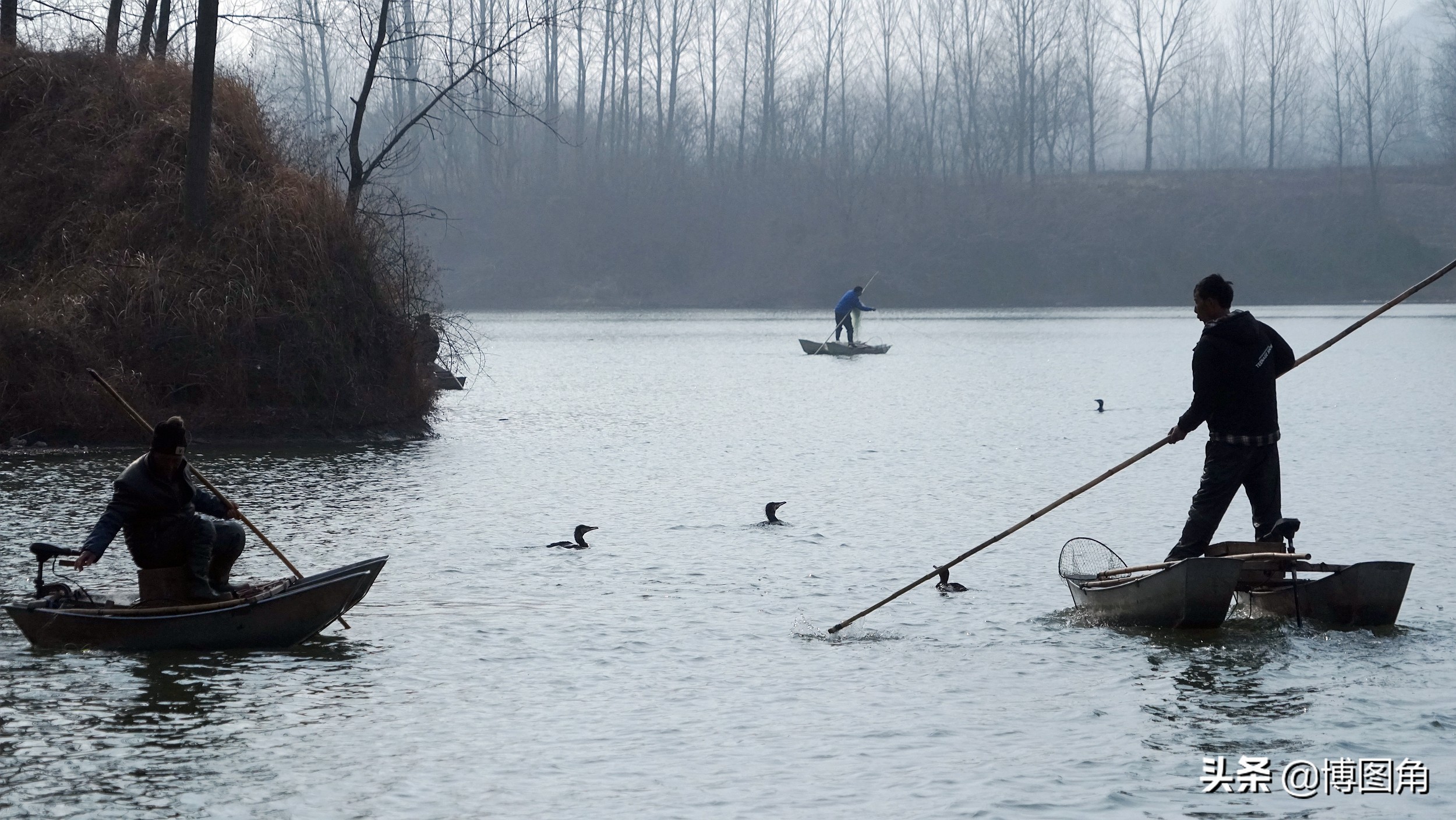 鸬鹚捕鱼渔民生活实拍精彩的瞬间,渔民与鸬鹚捕鱼图片