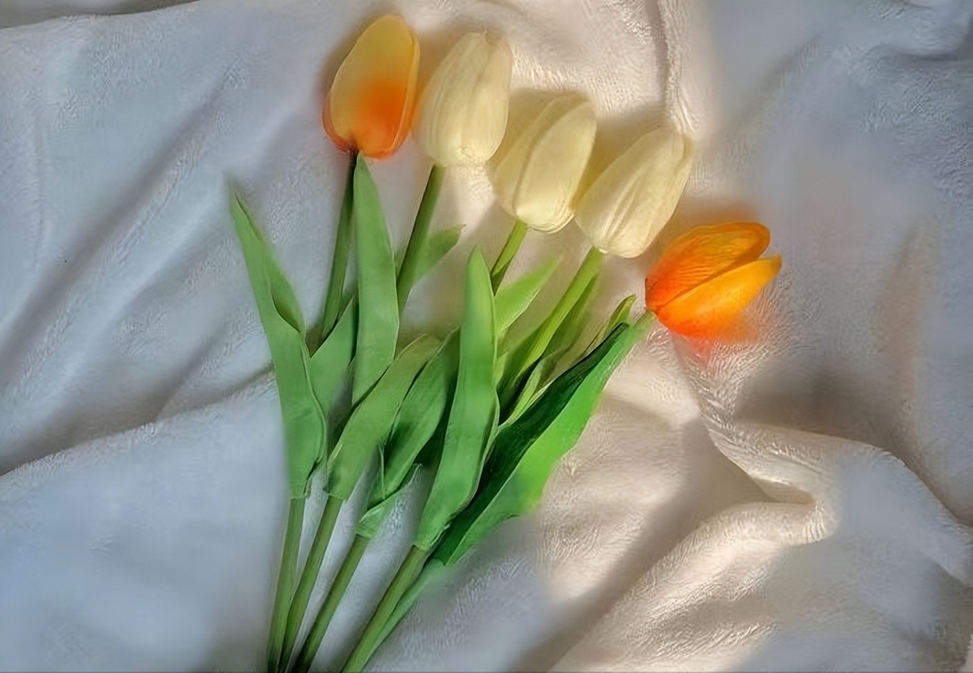 男女在一起有了感情,爱情的感觉怎么产生的