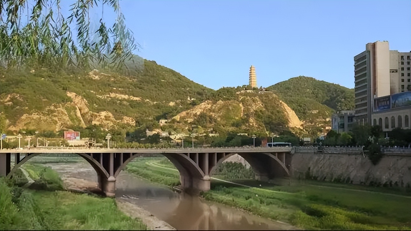 丹凤朝阳山丹丹花开,又见山丹丹花开