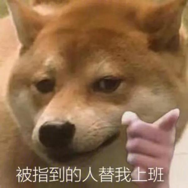 手摸柴犬下巴表情包,柴犬双手合一表情包