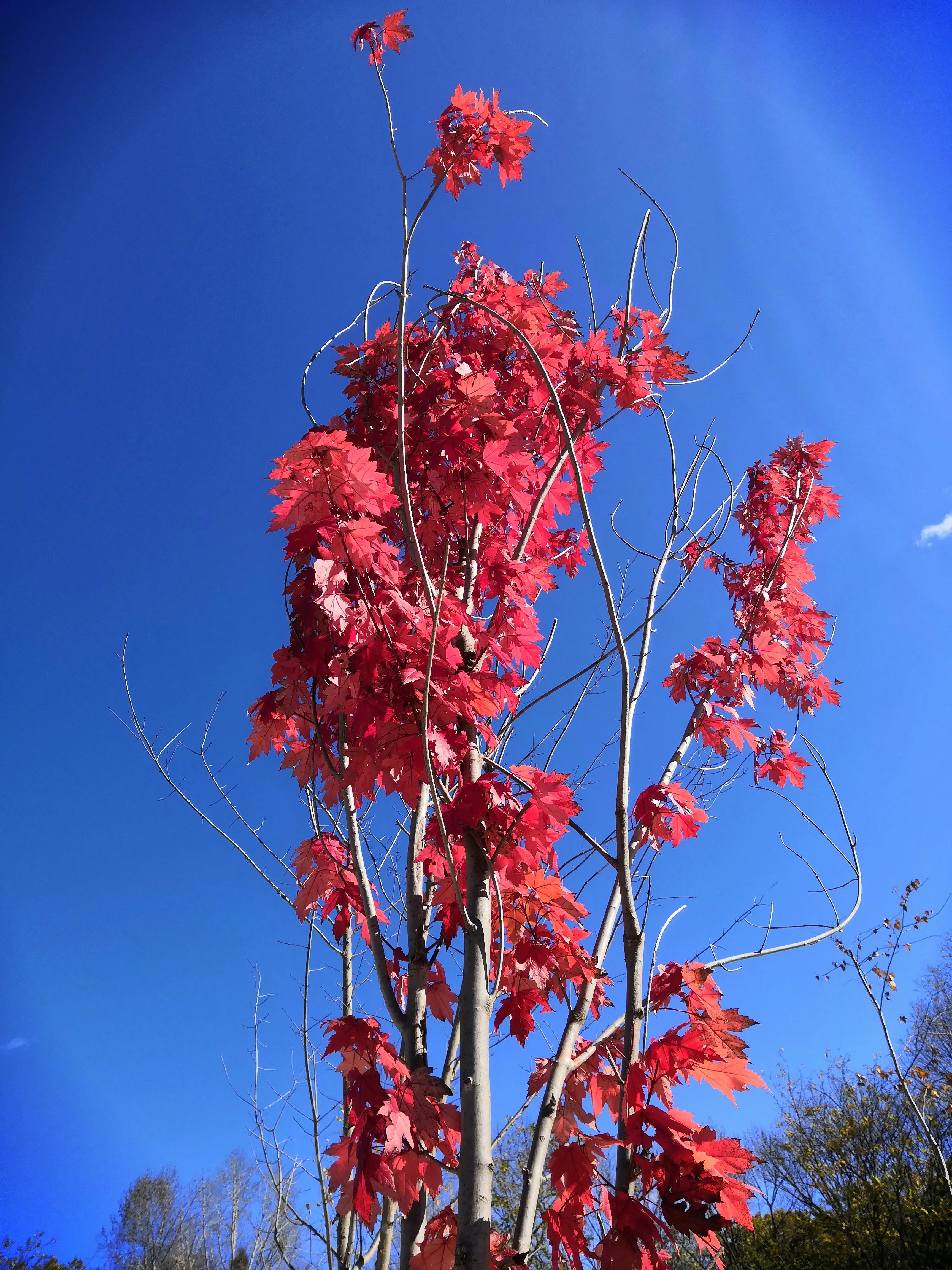 平心静气去拜道观还是寺庙,平心静气放松