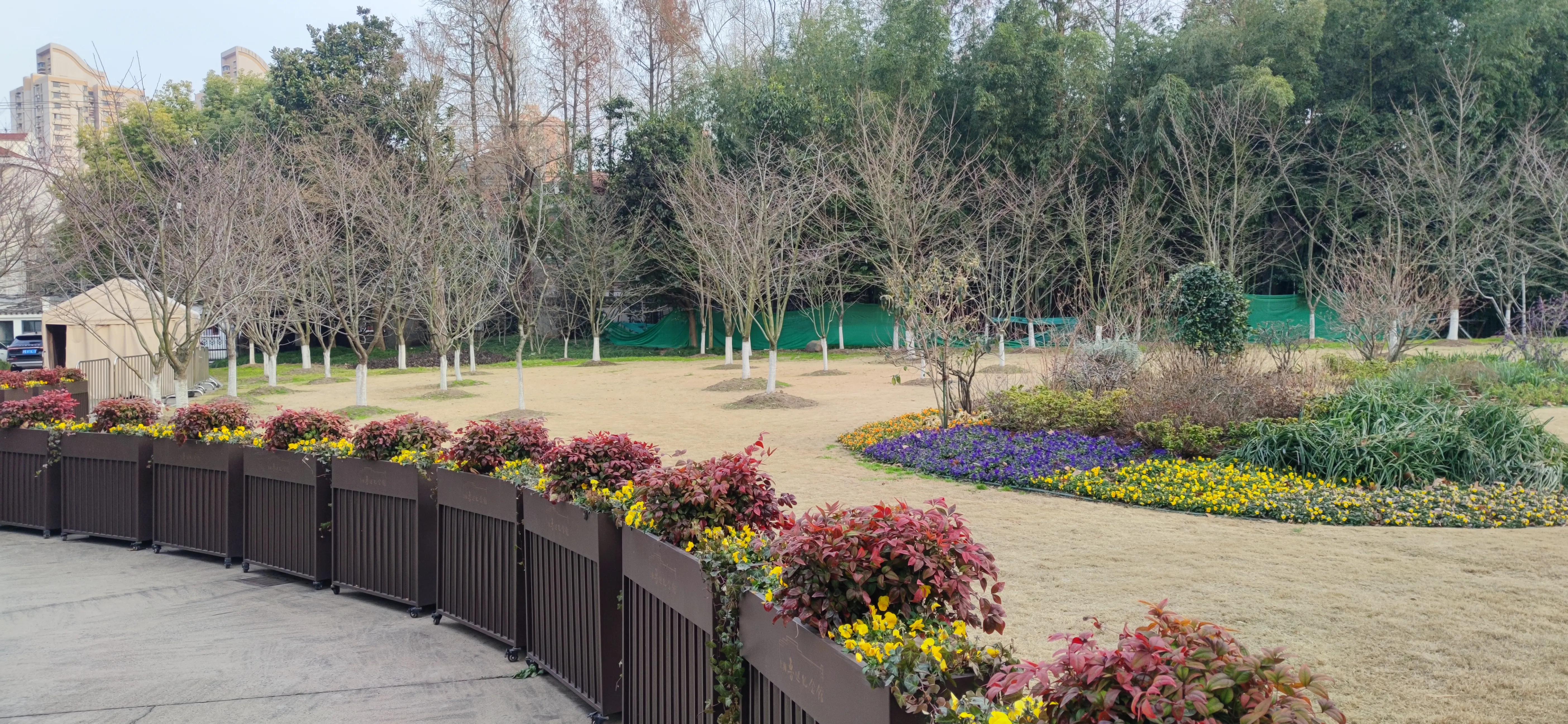 漫步鲁迅公园,周末鲁迅公园