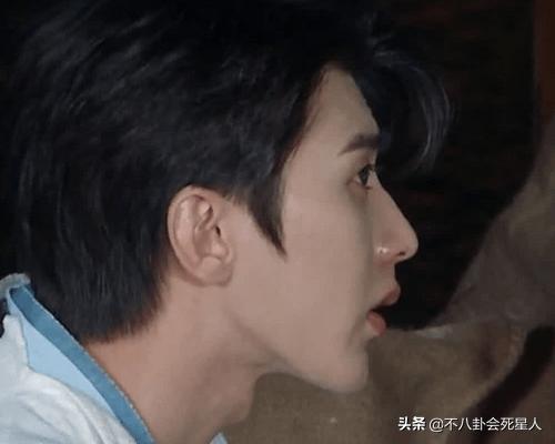 十大最丑男明星尖嘴猴腮,凸嘴严重的男星