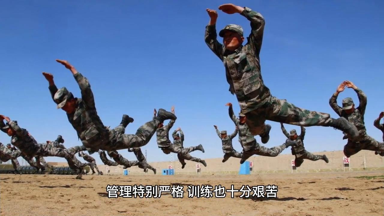 参军知识陆军,从哪里可以了解参军要求和解答