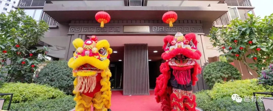 南宁即将开新的新盘,南宁最新交付消息