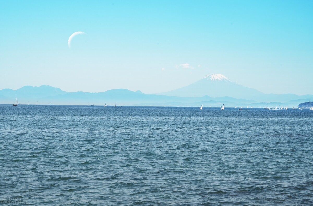 日本在海外购买大量土地详细用途,日本在海外买大量土地