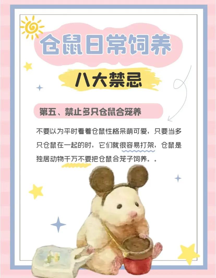 仓鼠忌讳,仓鼠大忌