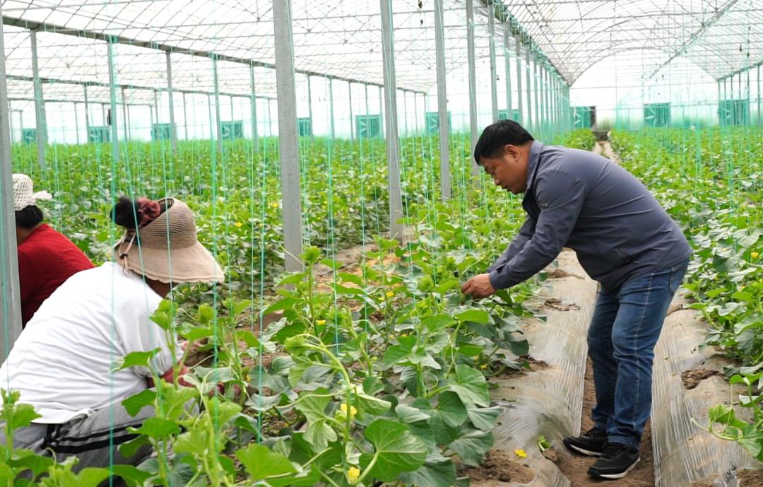 【干事创业强担当】刘天民:乡村振兴路上的领路人