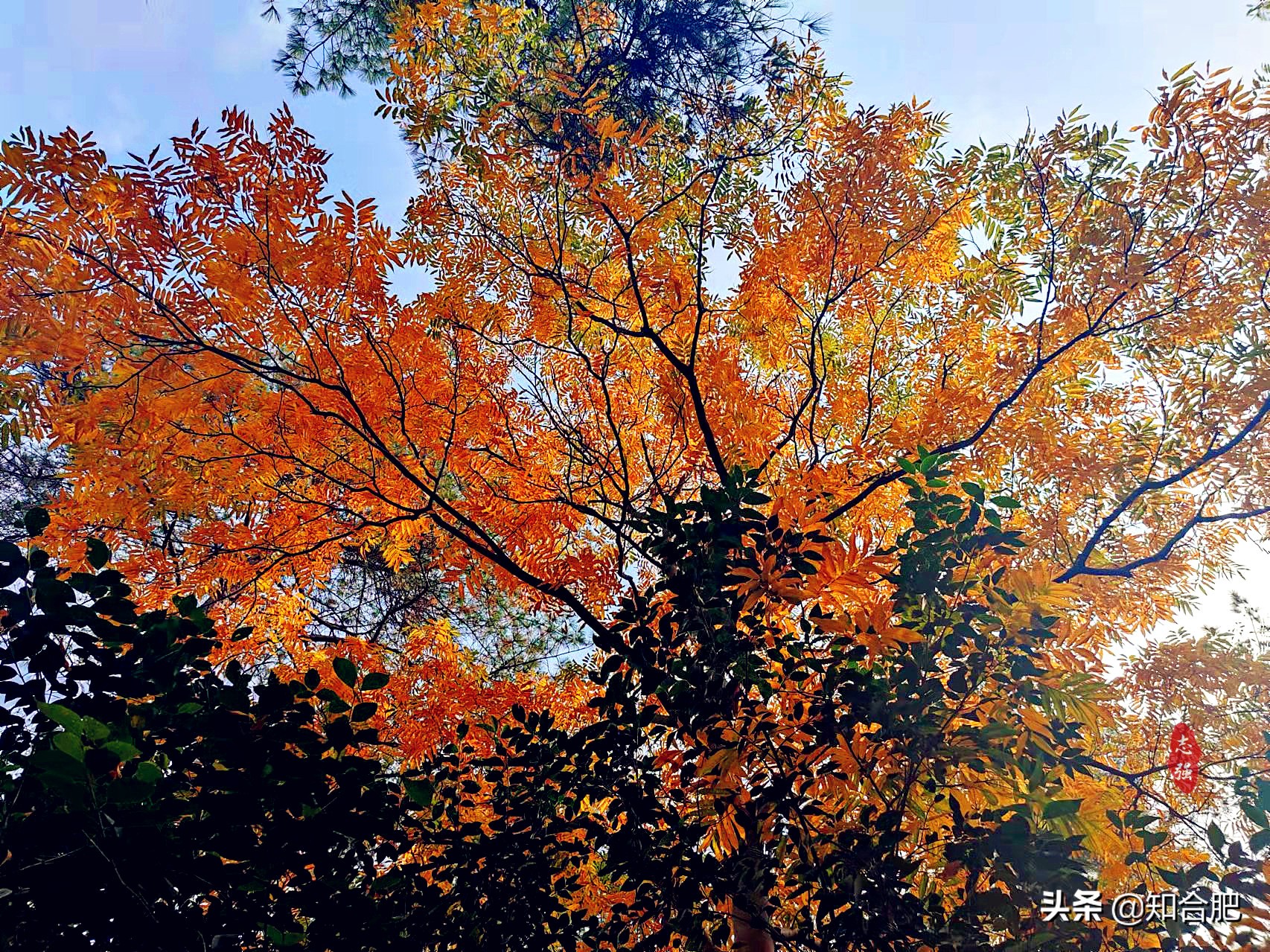 合肥大蜀山最新规划改造,合肥大蜀山改造封闭了吗