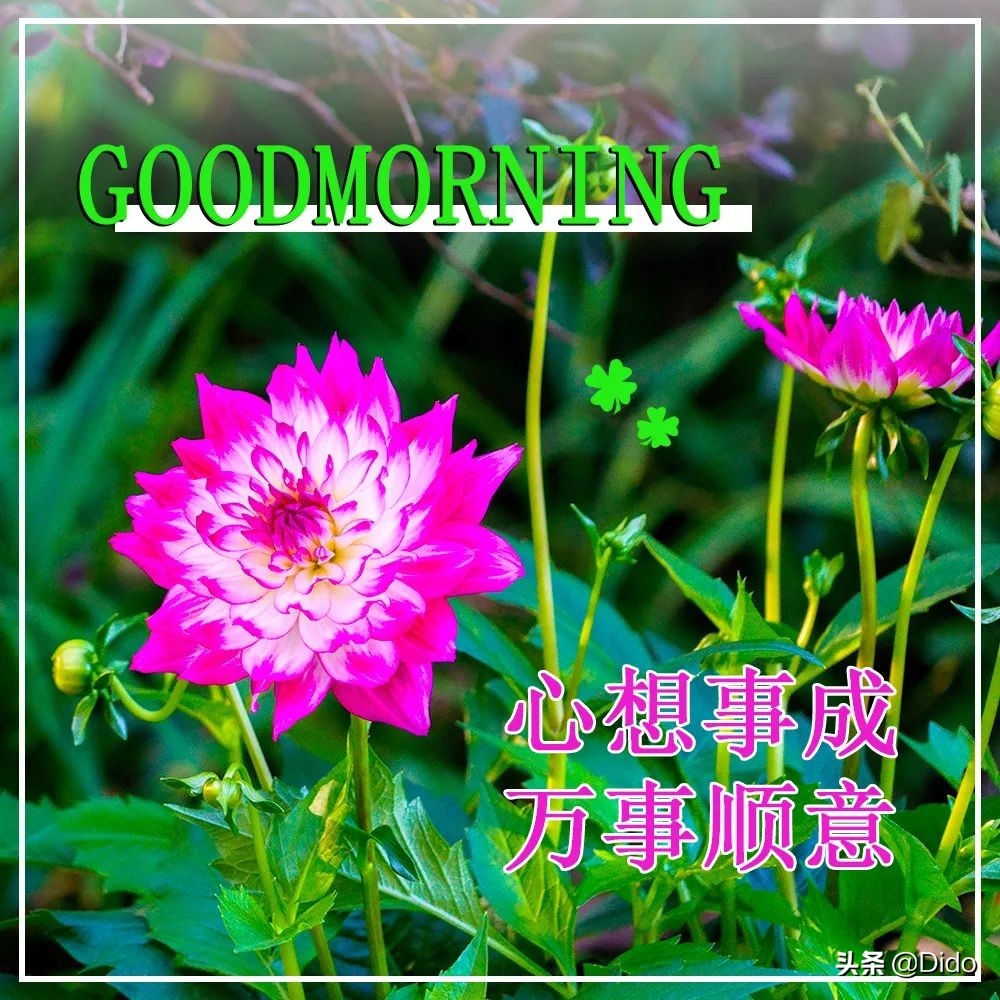 最新的520祝福图片大全,520节日祝福语带字图片