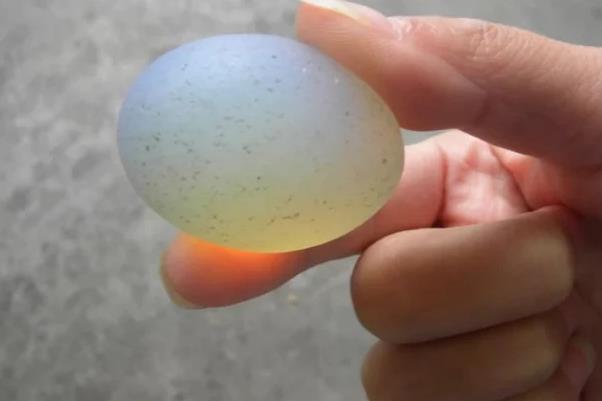 江西男子2万买到慈禧的夜明珠,有人出10万不卖,专家鉴定值十元